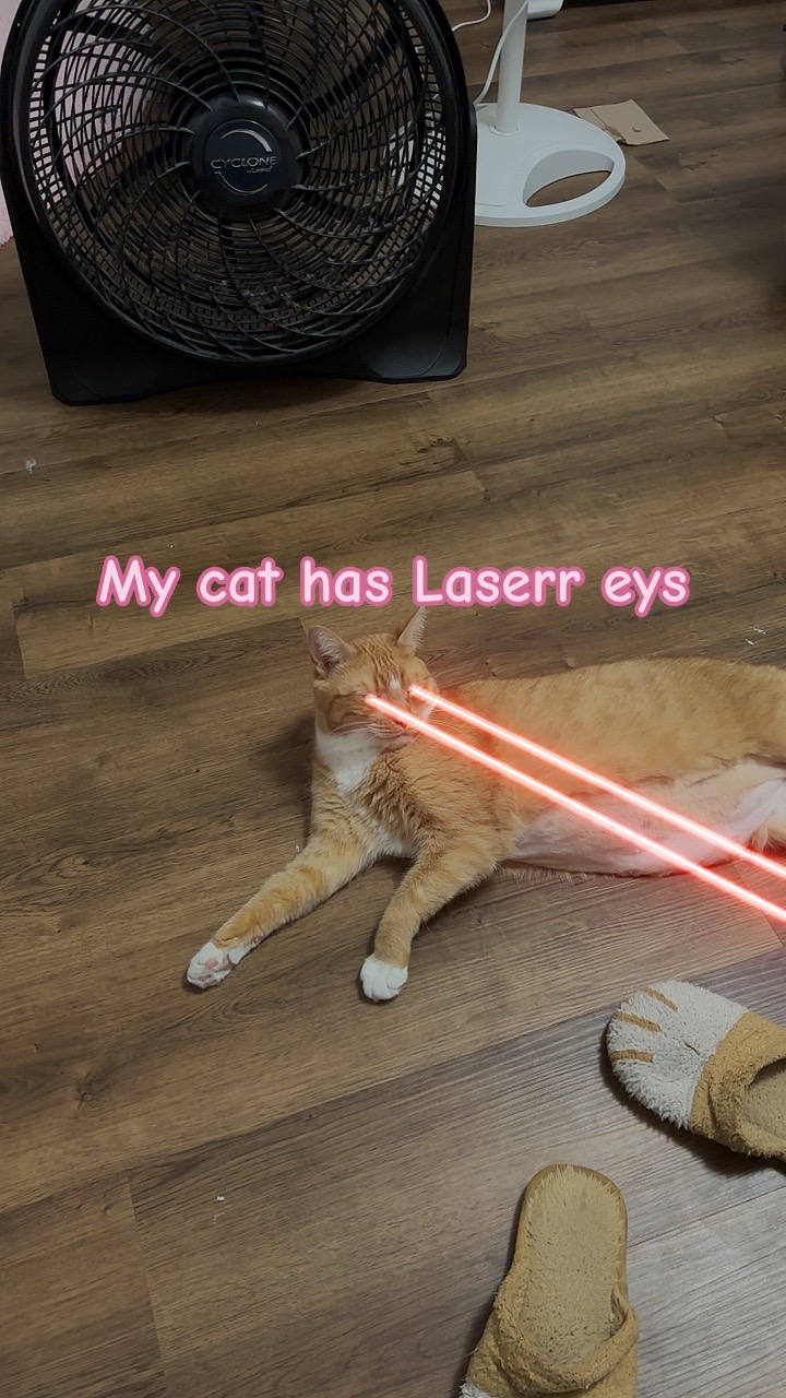 @mothy!! (BALLS CAT #1 FAN‼️)