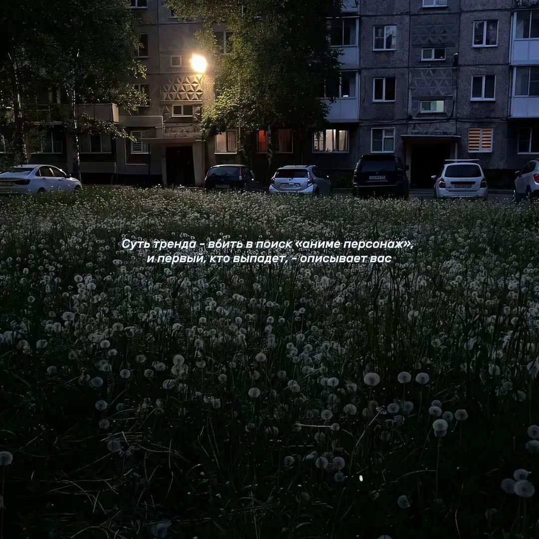 @Molokaka.
