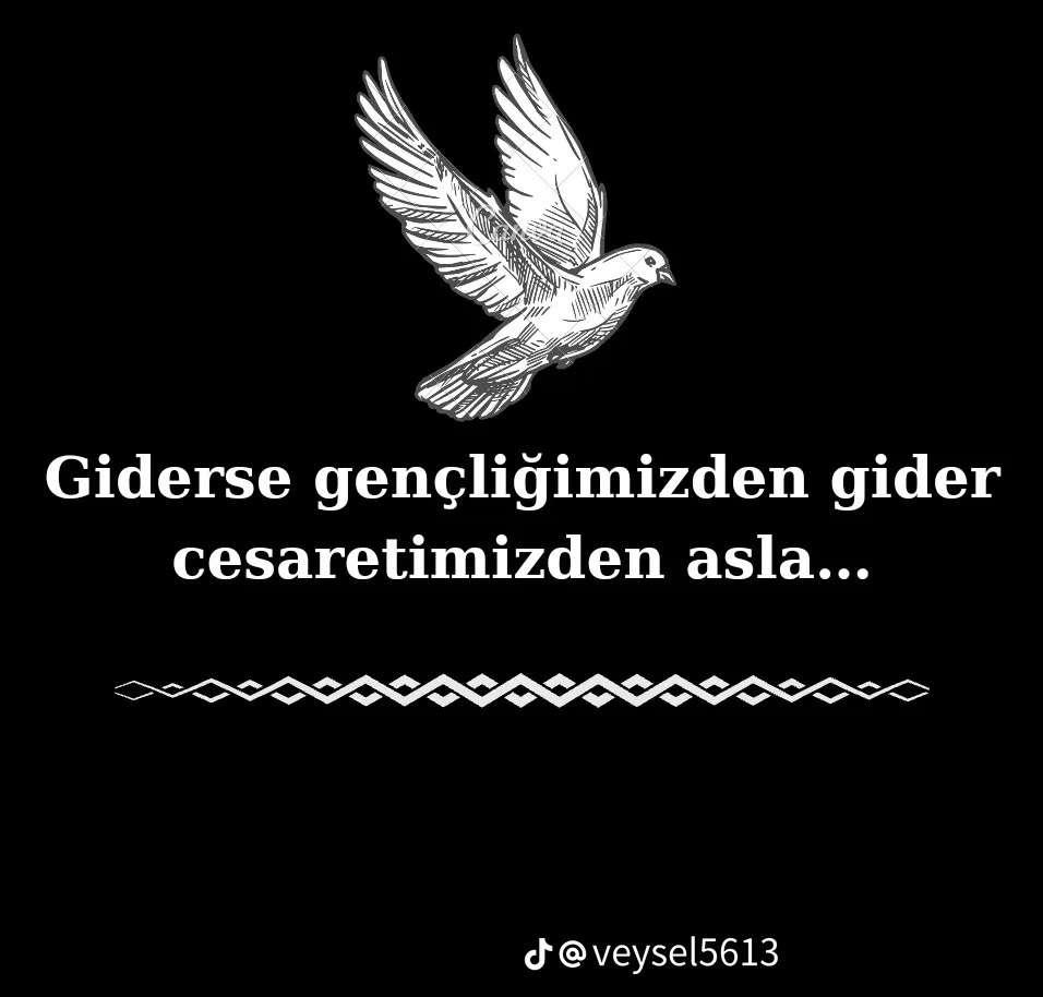 @Elossunuuzzz