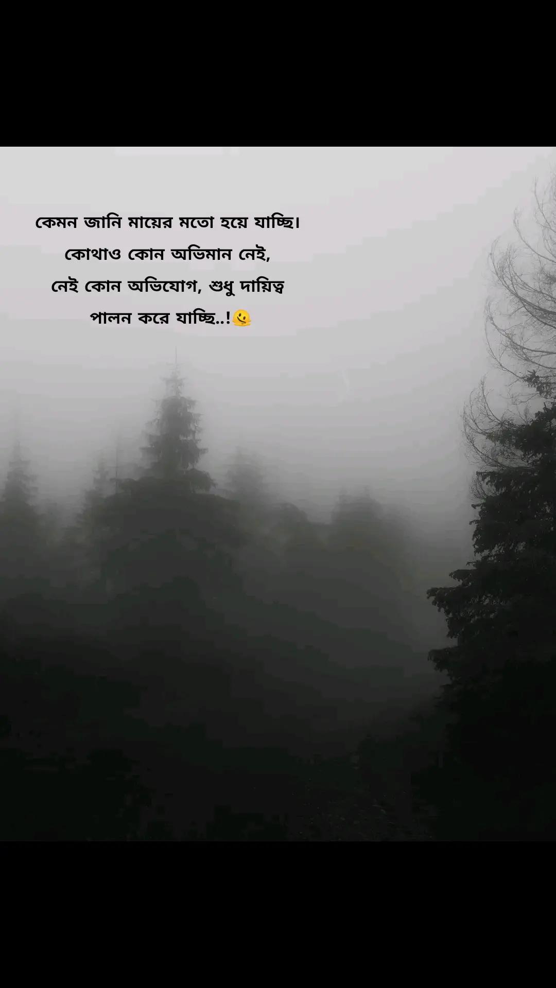 @🌸meherin🌸