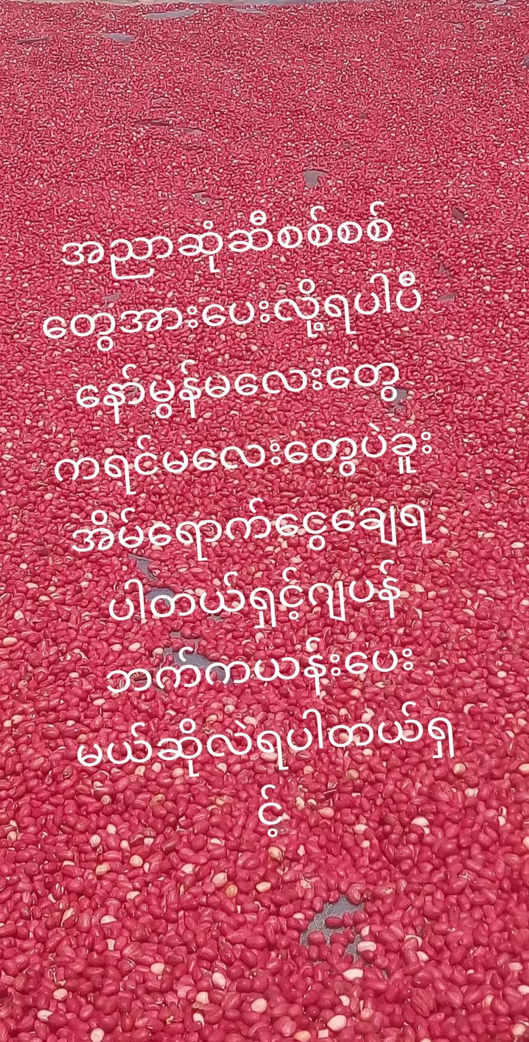 @muhantun0