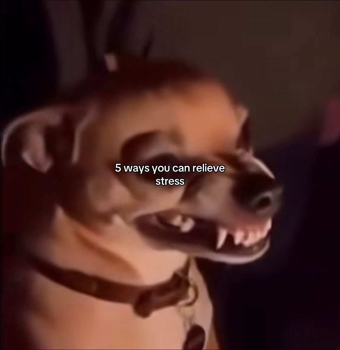 @Kassy