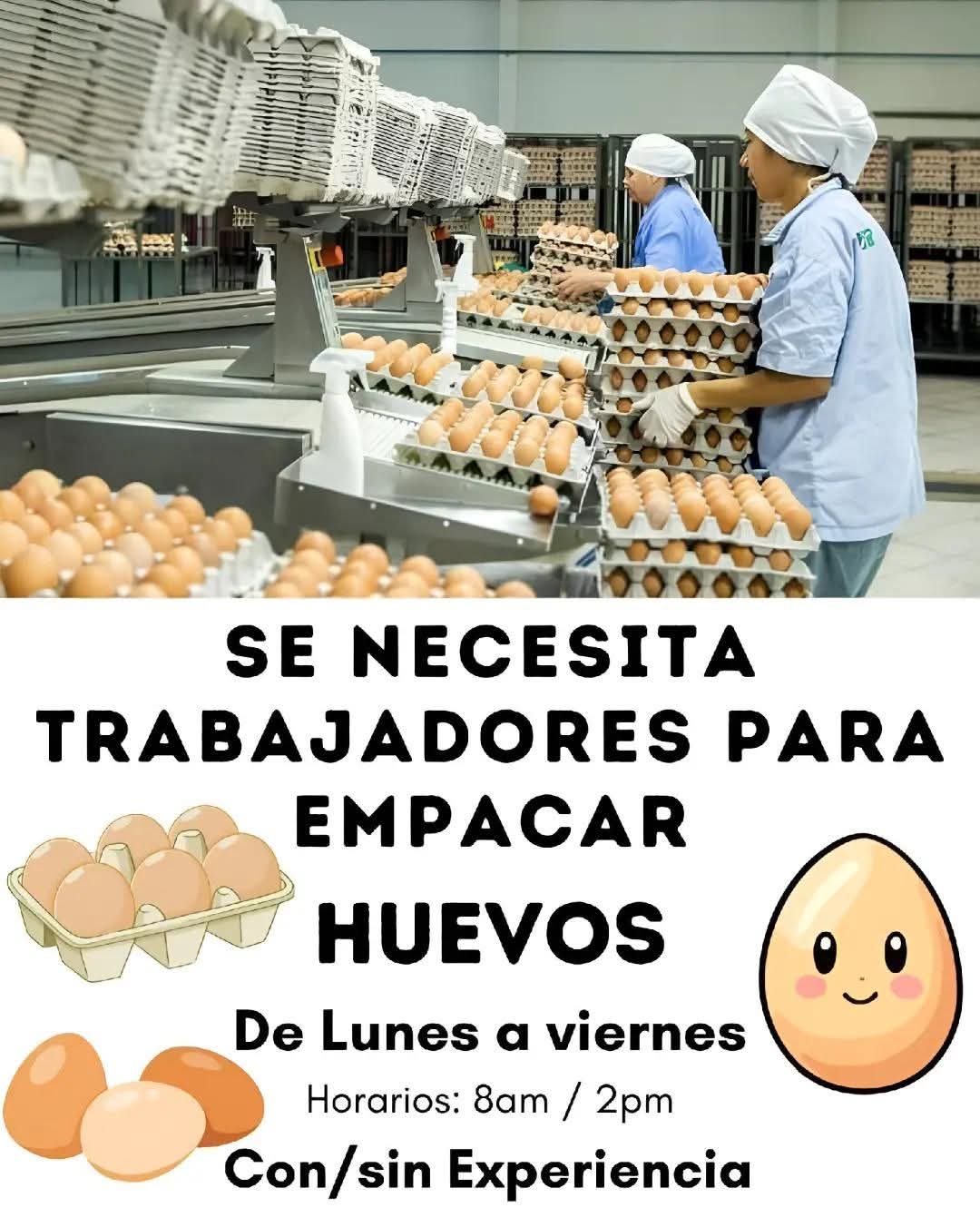 @trabajo si hay✅️