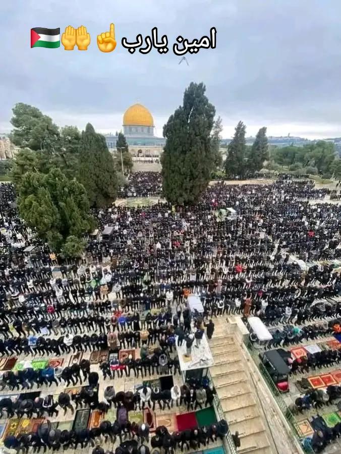 @ጀም from habesha🇪🇹☪️✅️