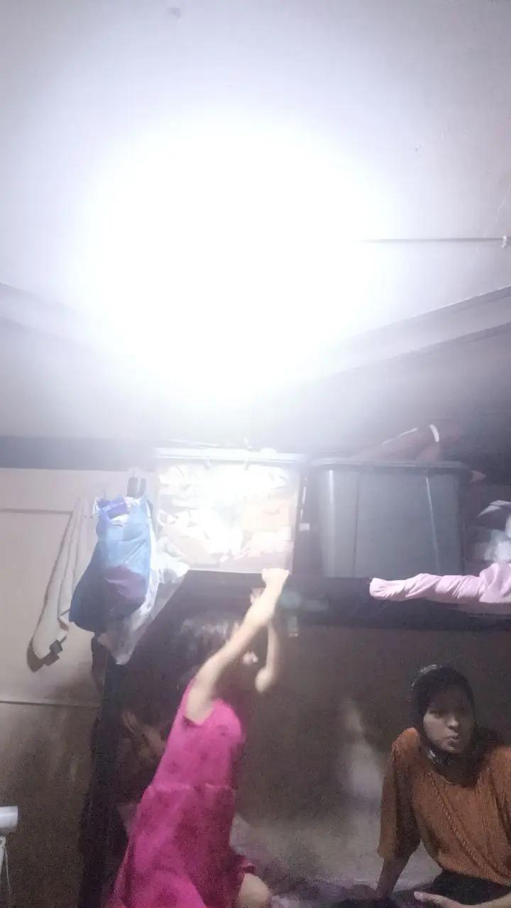 @Samsia mondei