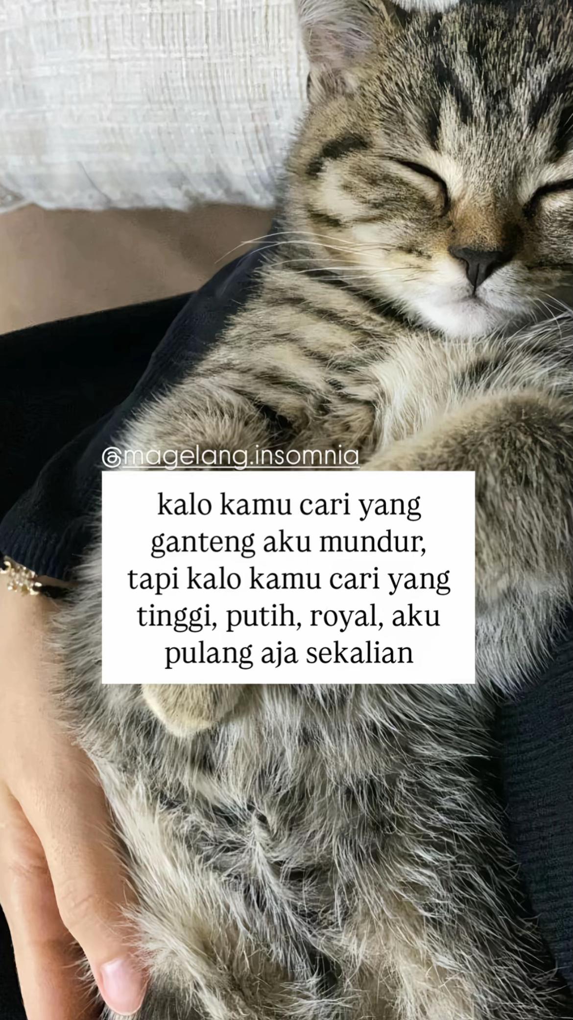 @arga017_