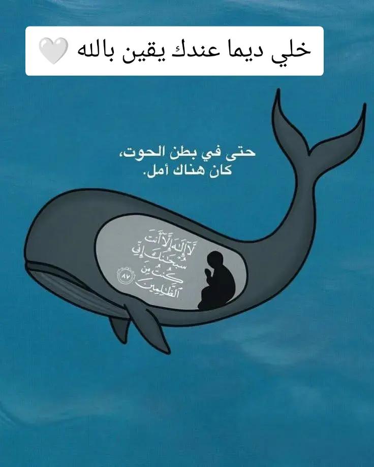 @🇩🇿غيث الجزائري 🇩🇿