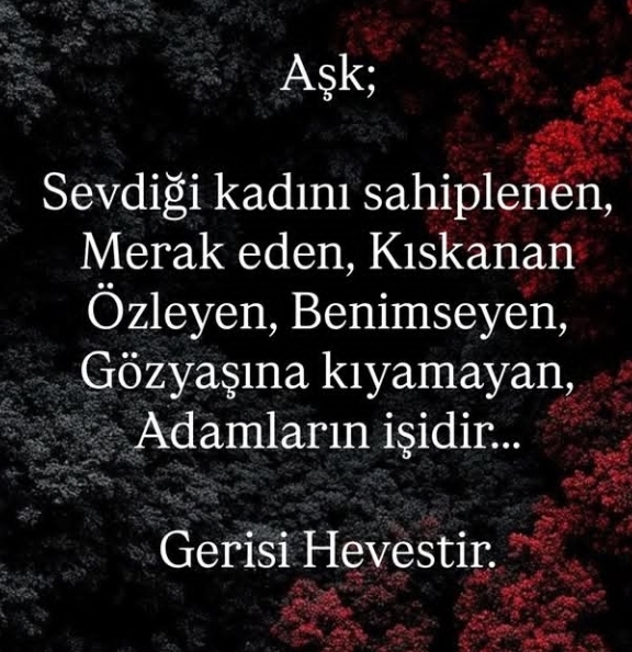 @🇹🇷 h.ferda