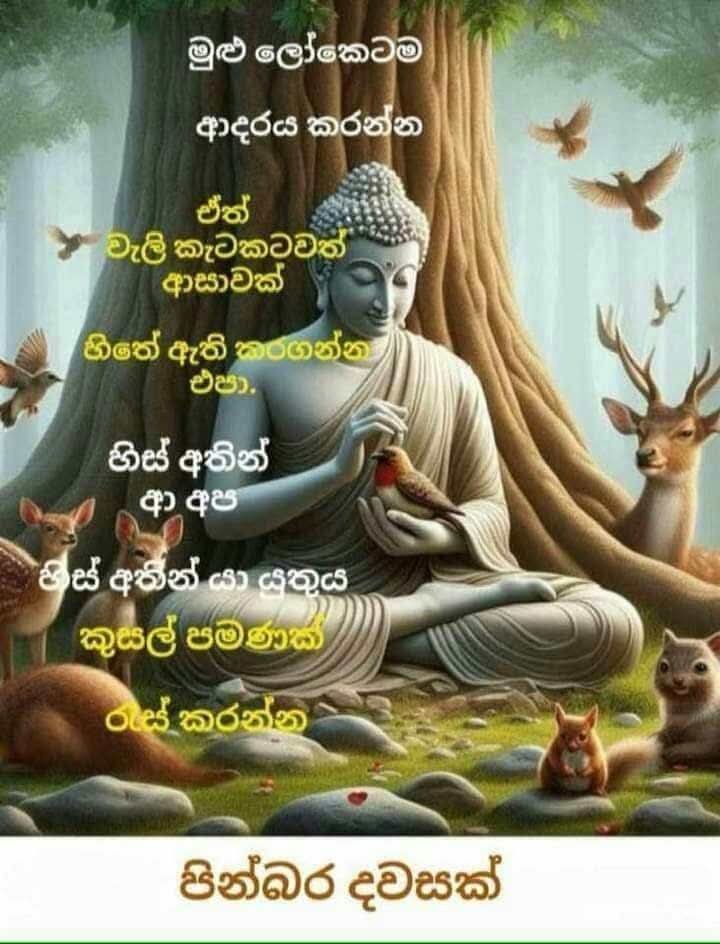 @prasanna