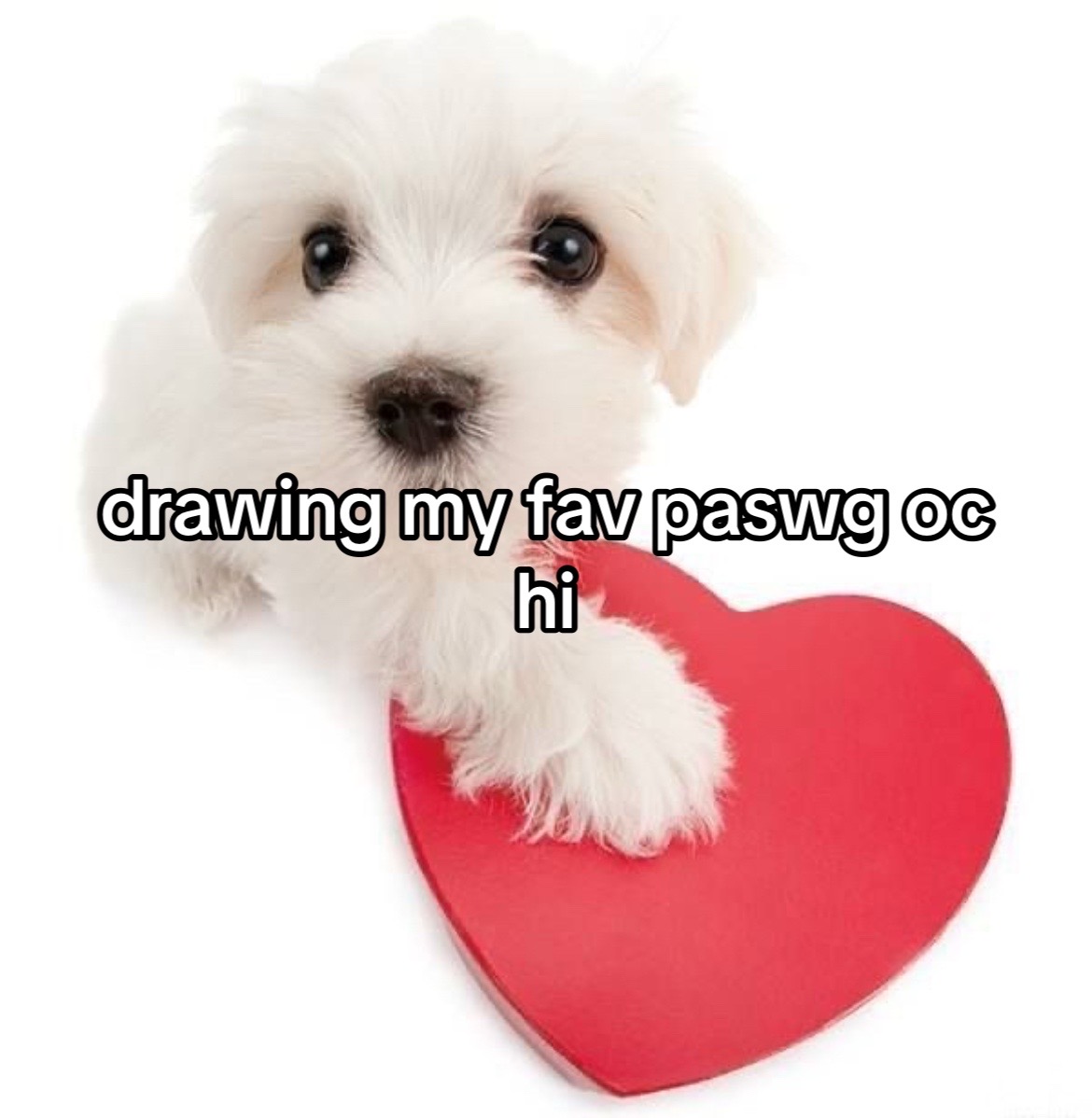 @remilia