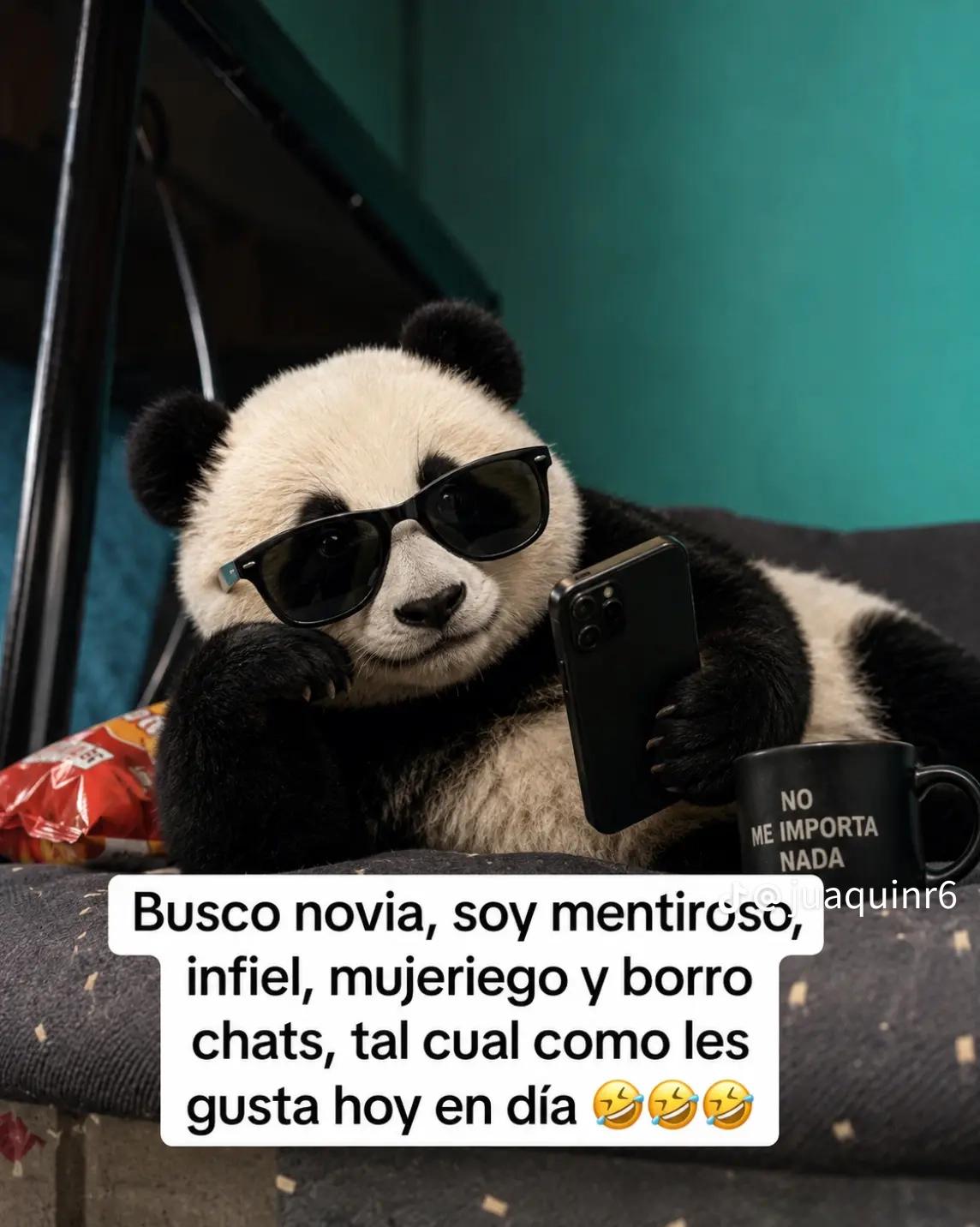 @Rodrigues José