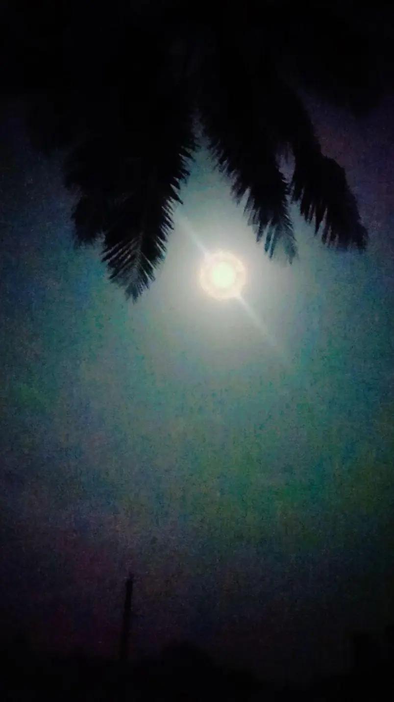 @🦋🦋দ্বীপান্বিতা🦋🦋