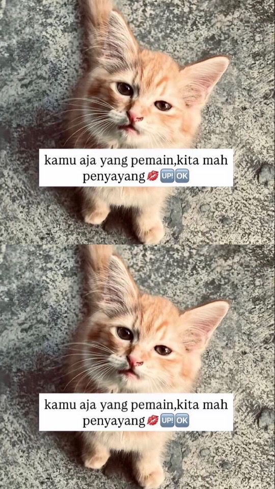 @Riko Hardiansyah