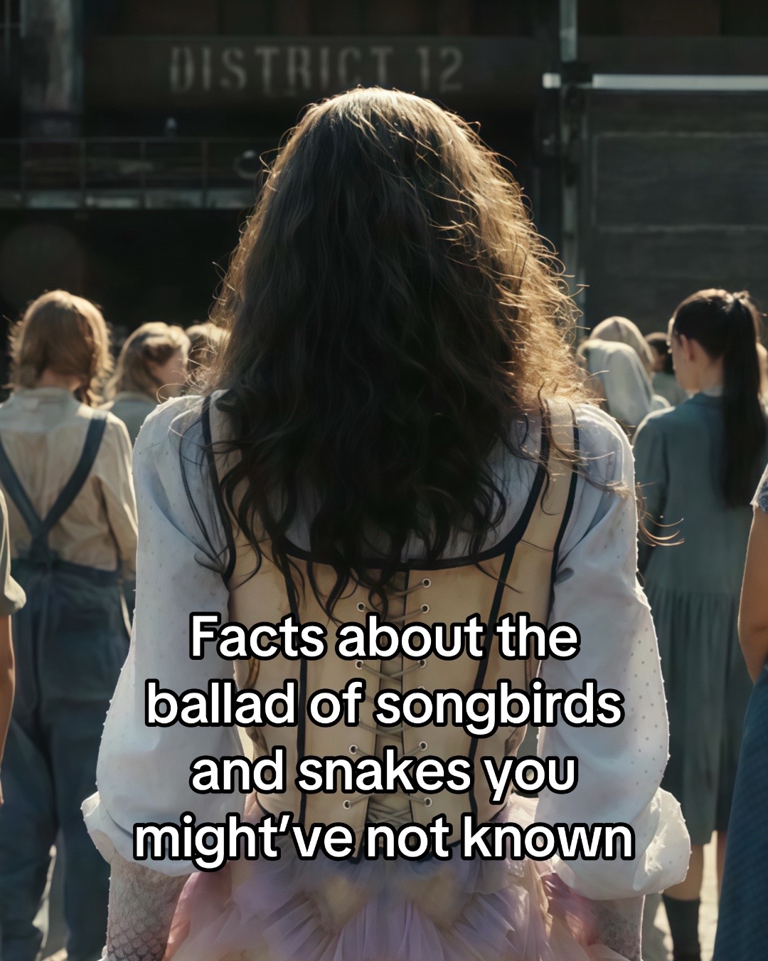 @🦢