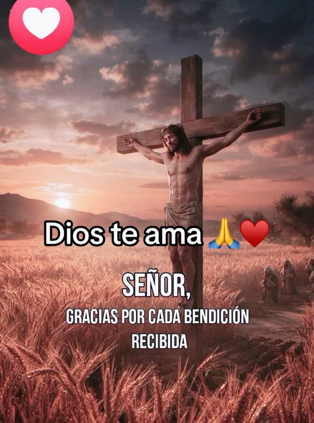 @8luisplaza8