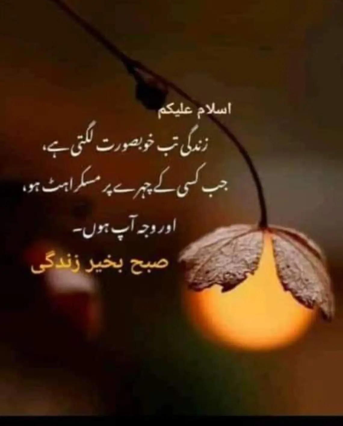 @Aslam Khan