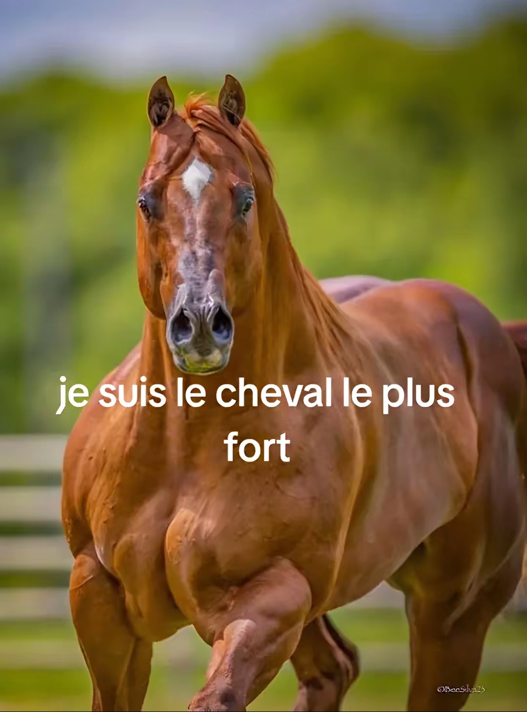 @Sara🇮🇹🇮🇹🇮🇹