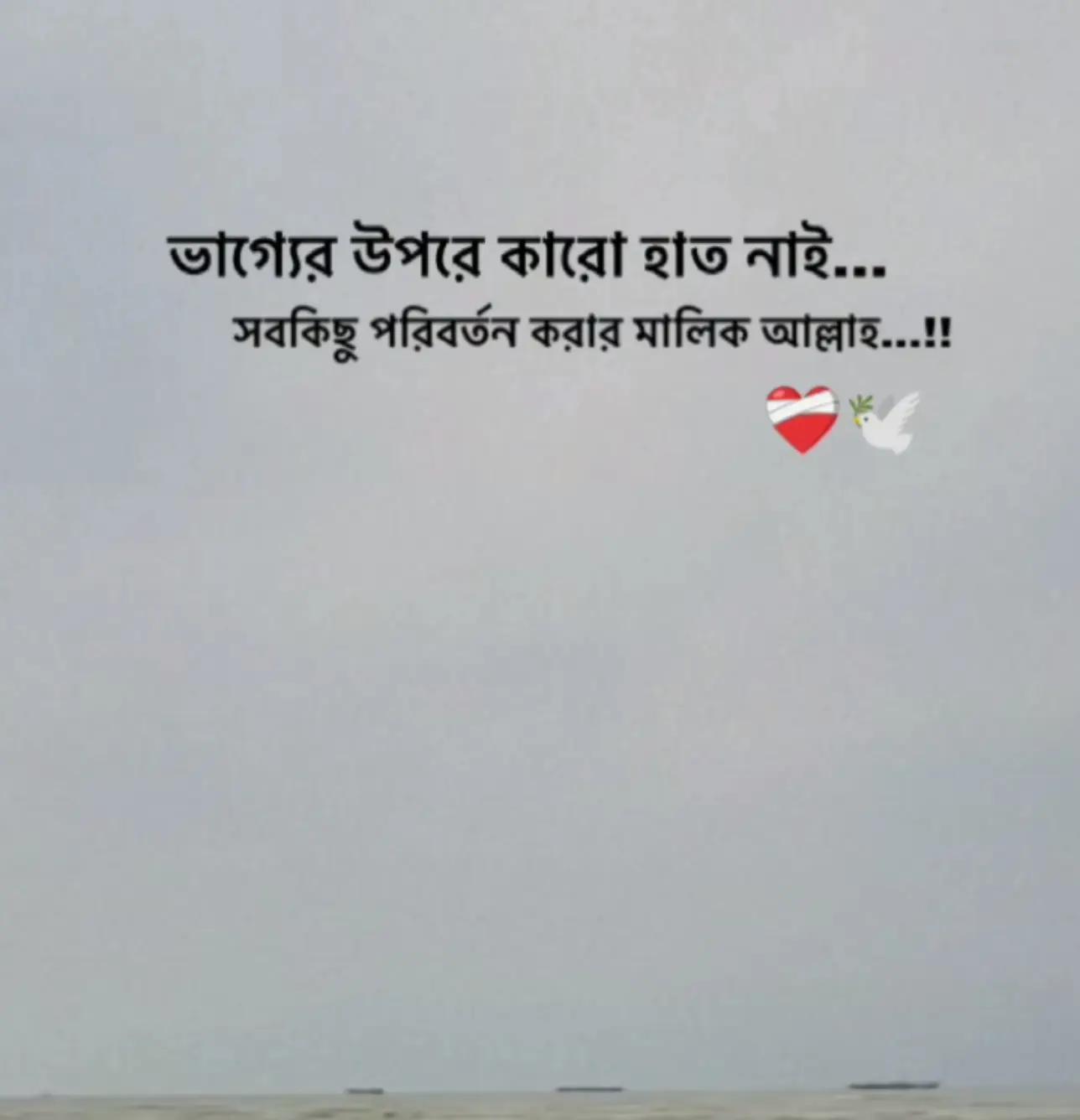 @লিটু মোল্লা