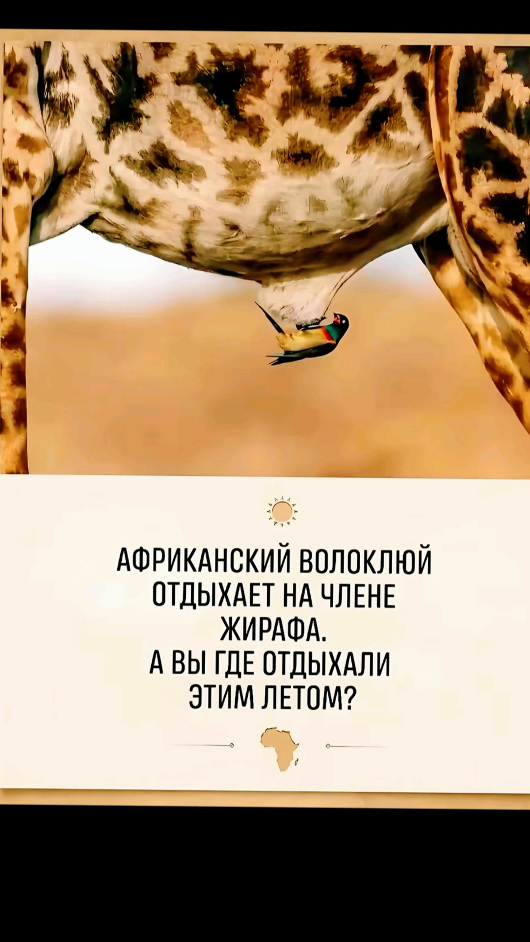 @y.nikolaevich