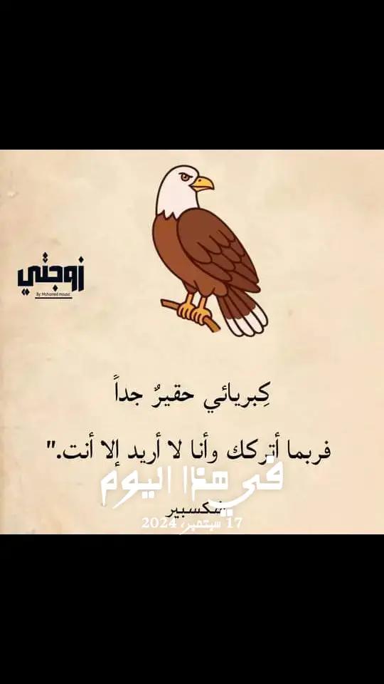 @عماد
