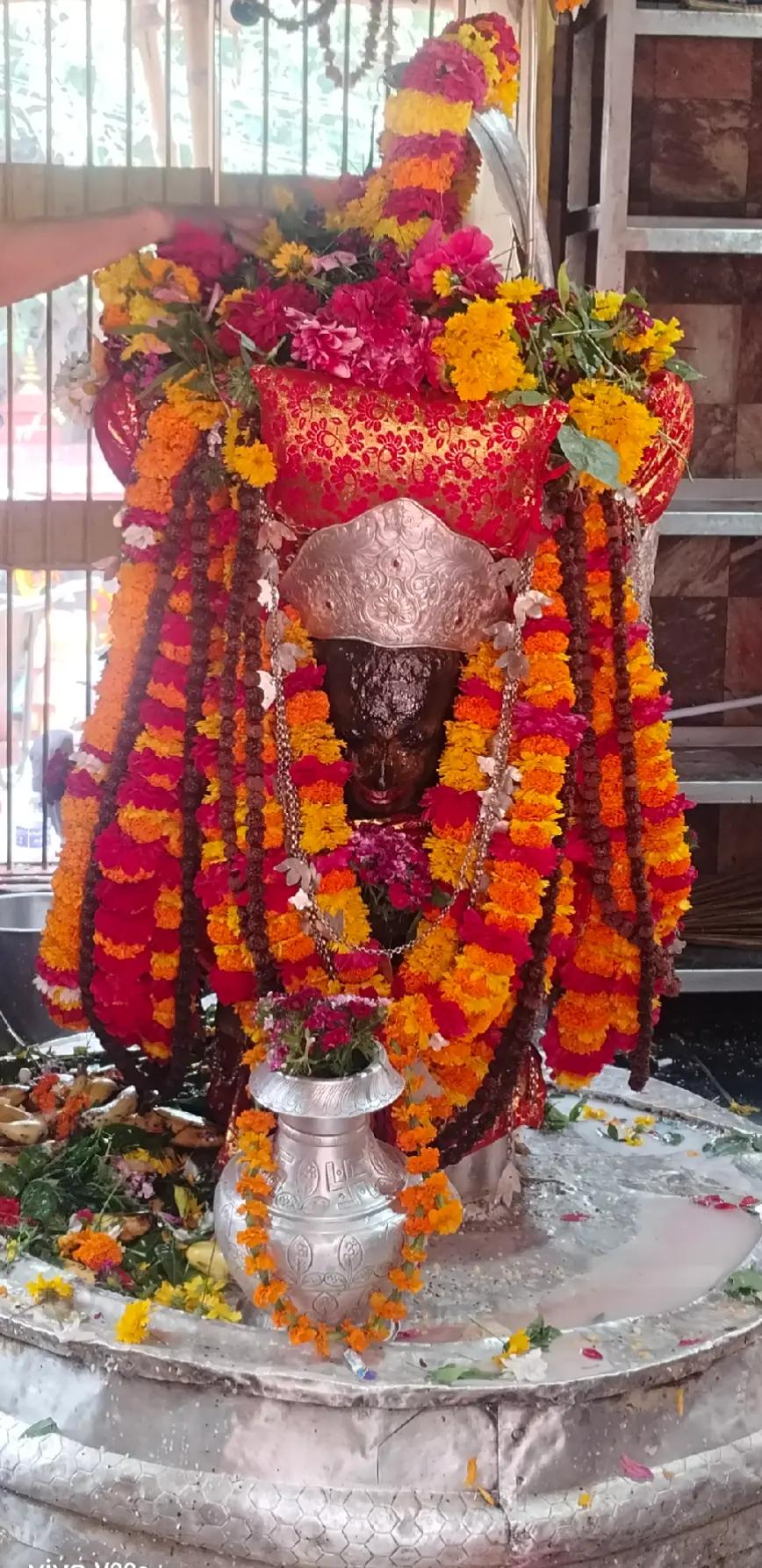 @Renu Mandal845