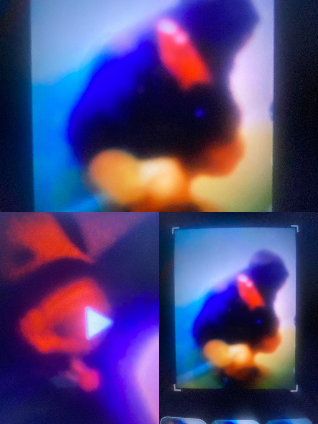 @Mario