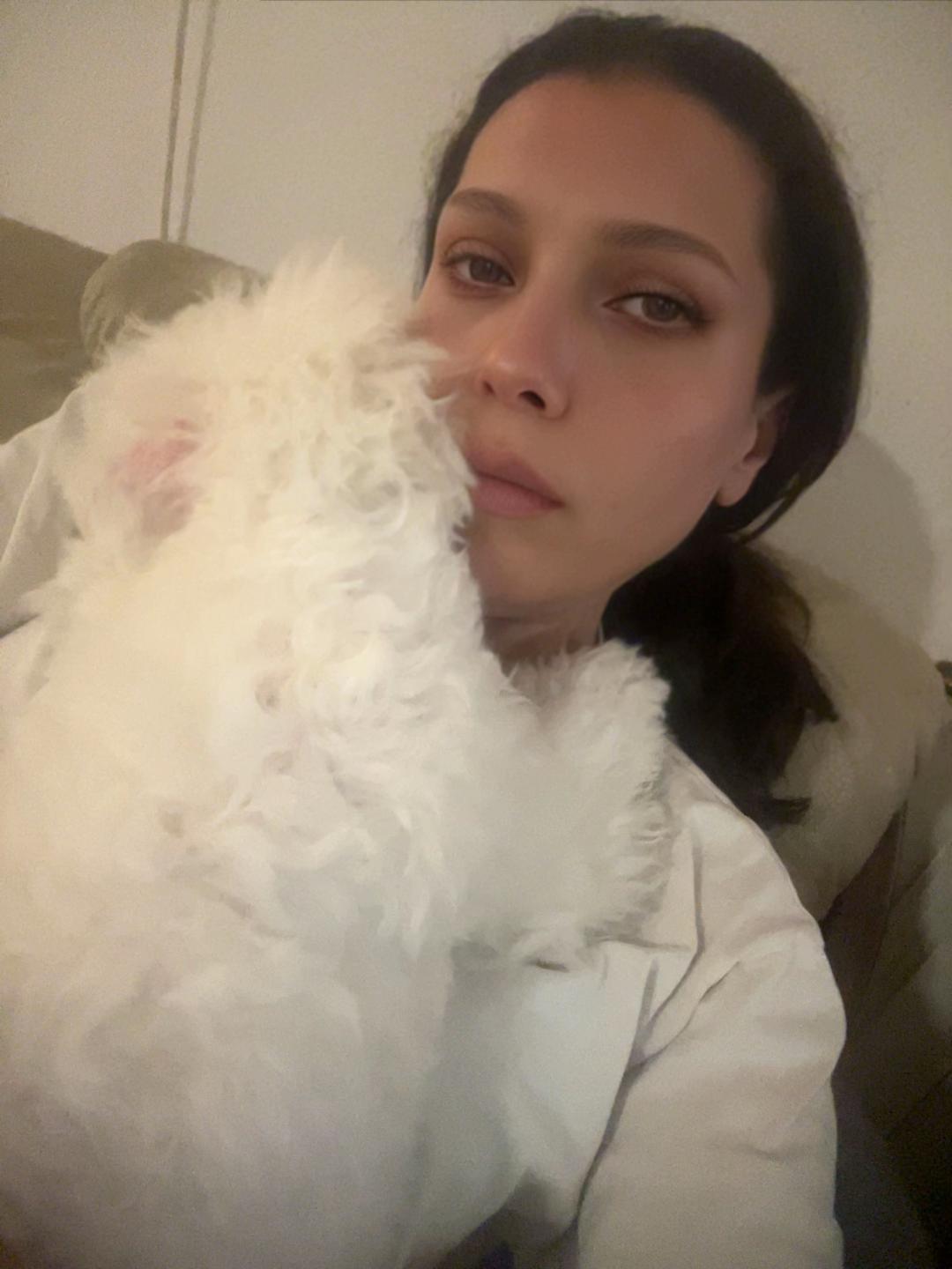 @Jule Nikolovska