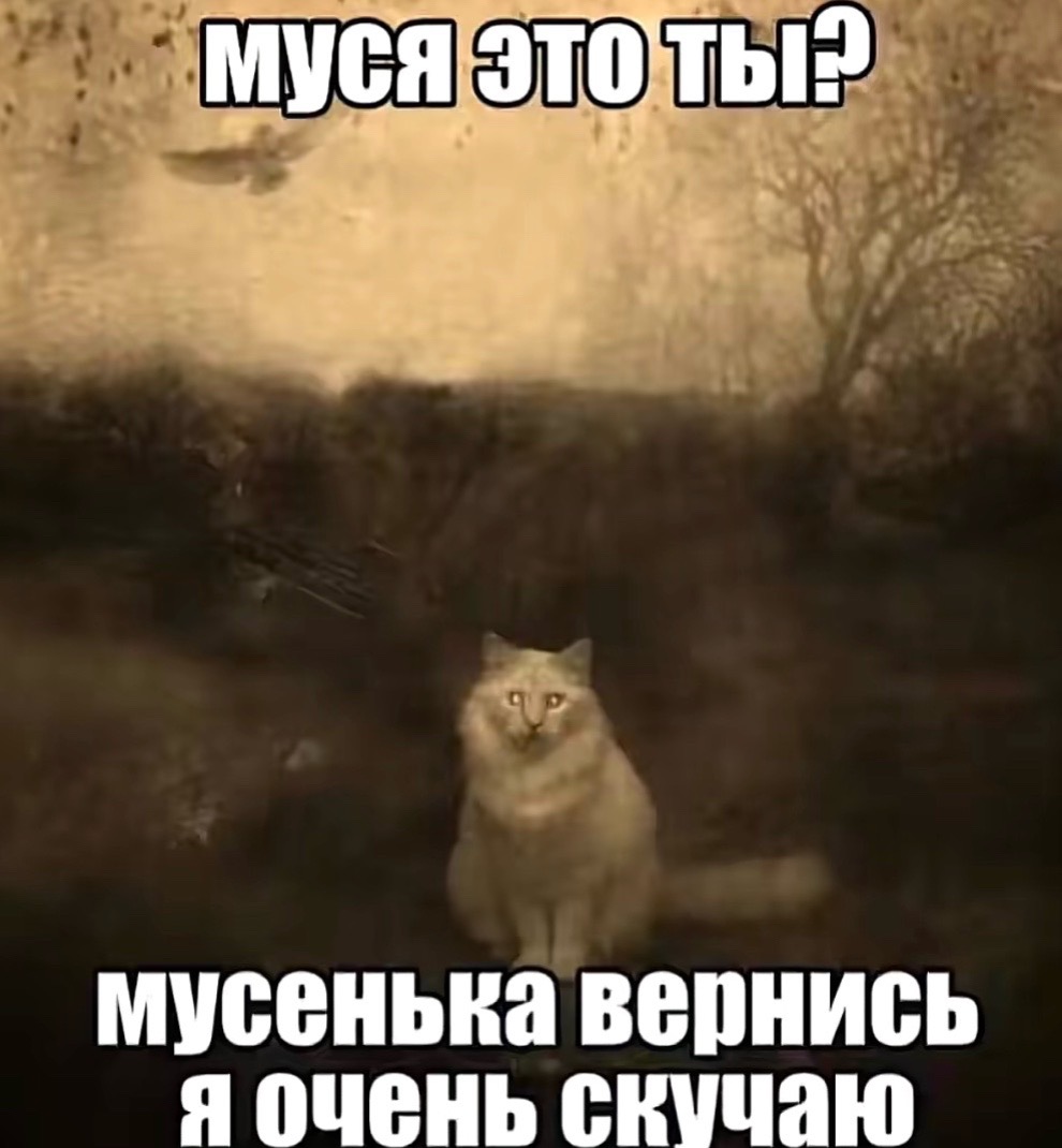 @friendship.forever11.11