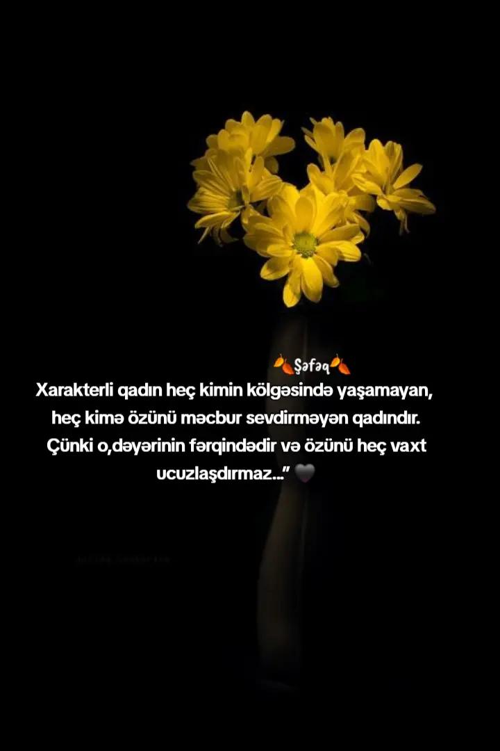 @🍂ŞƏFƏQ🍂