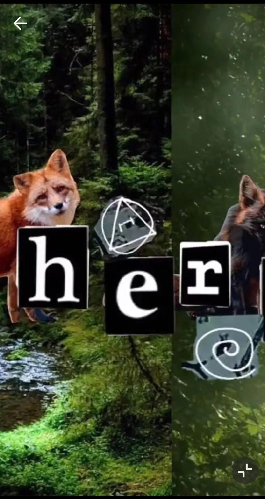 @🌿𝑝𝑎𝑛𝑔𝑦𝑎★🌱╶⃝⃤