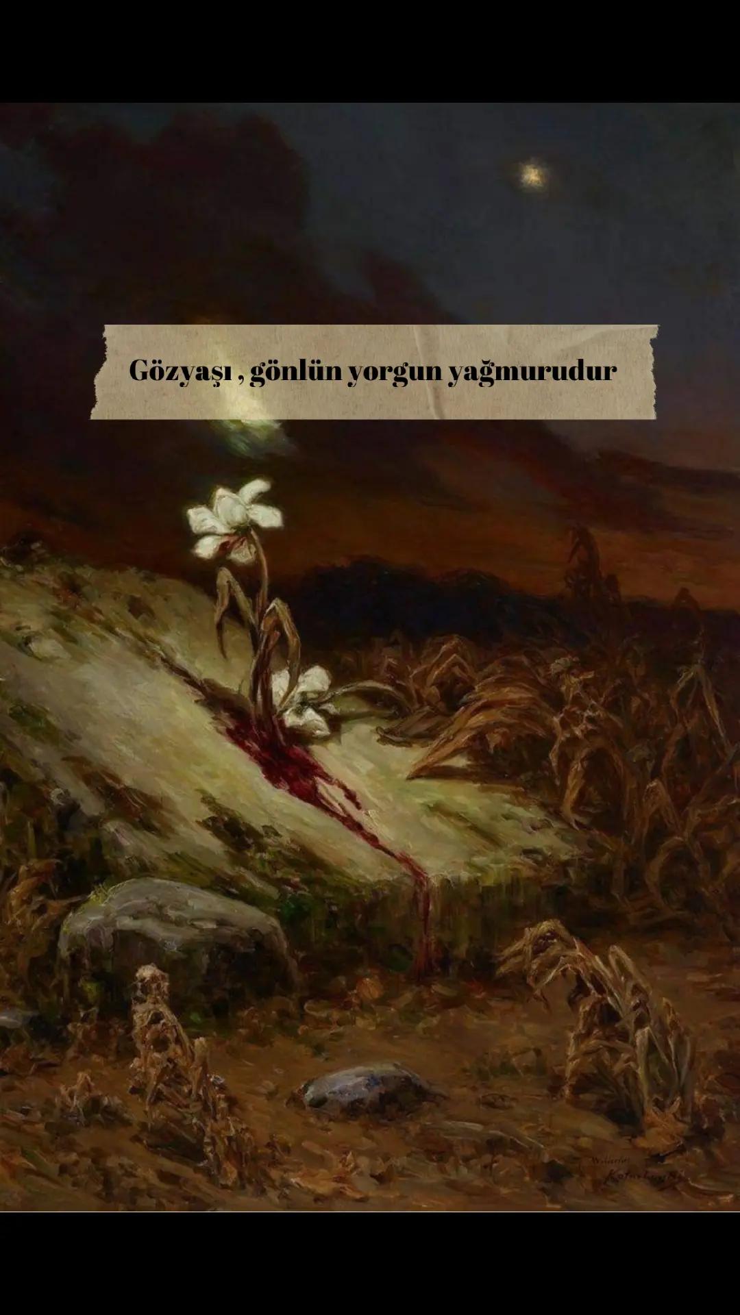 @Tuğba D.