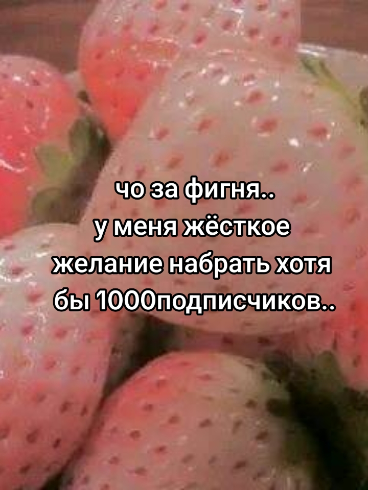 @ⲏɑ੮ɑⲏυ϶ʌь κƴƿ੮цઠ૯ƿɾ𓃵ʾʿ𓈒ִೇ