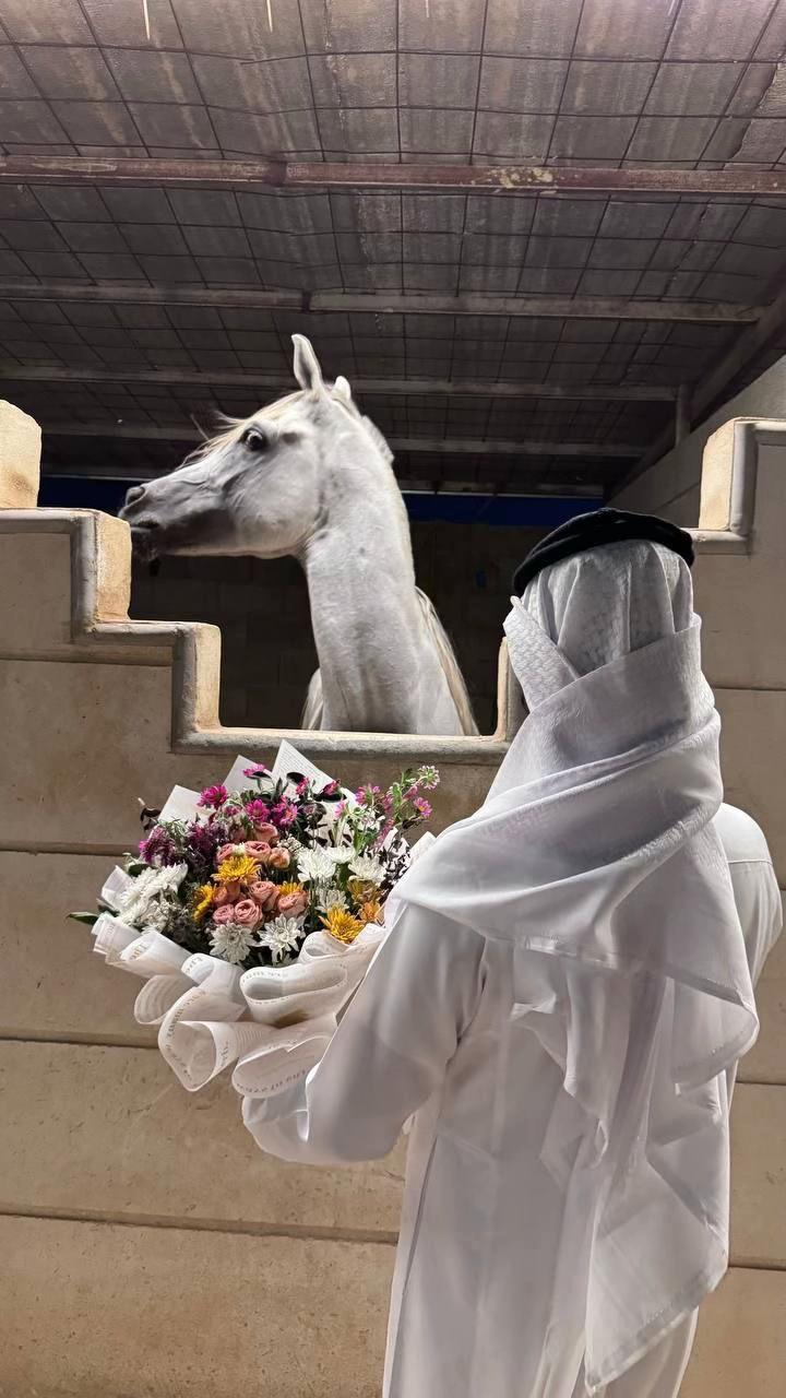 @الكايد