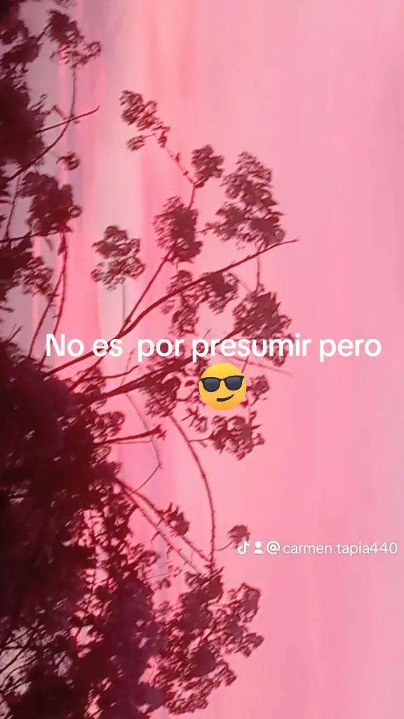 @Carmen Tapia