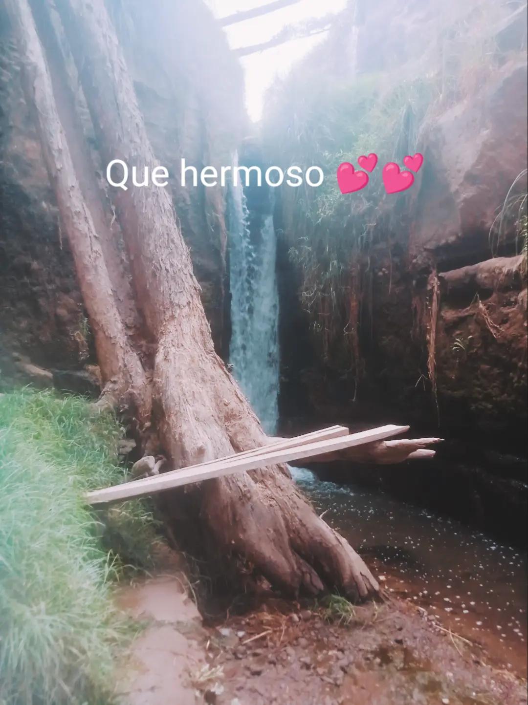 @Ana❣️banana
