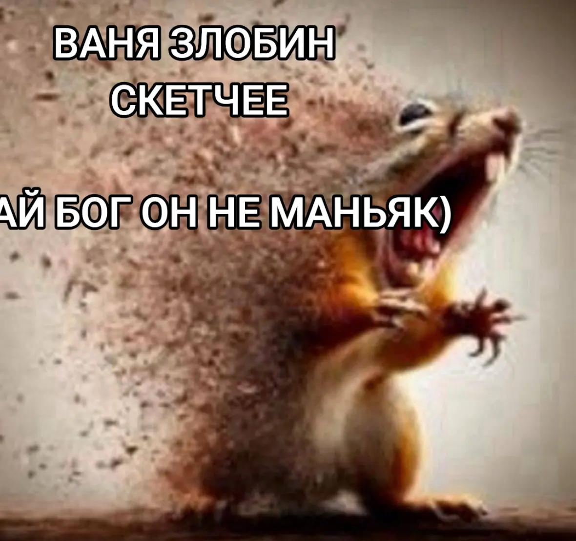 @ТГК: сеня возрожедение🔌