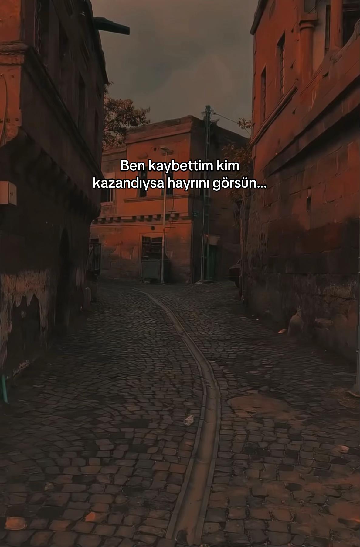 @seviyorgibiydin24