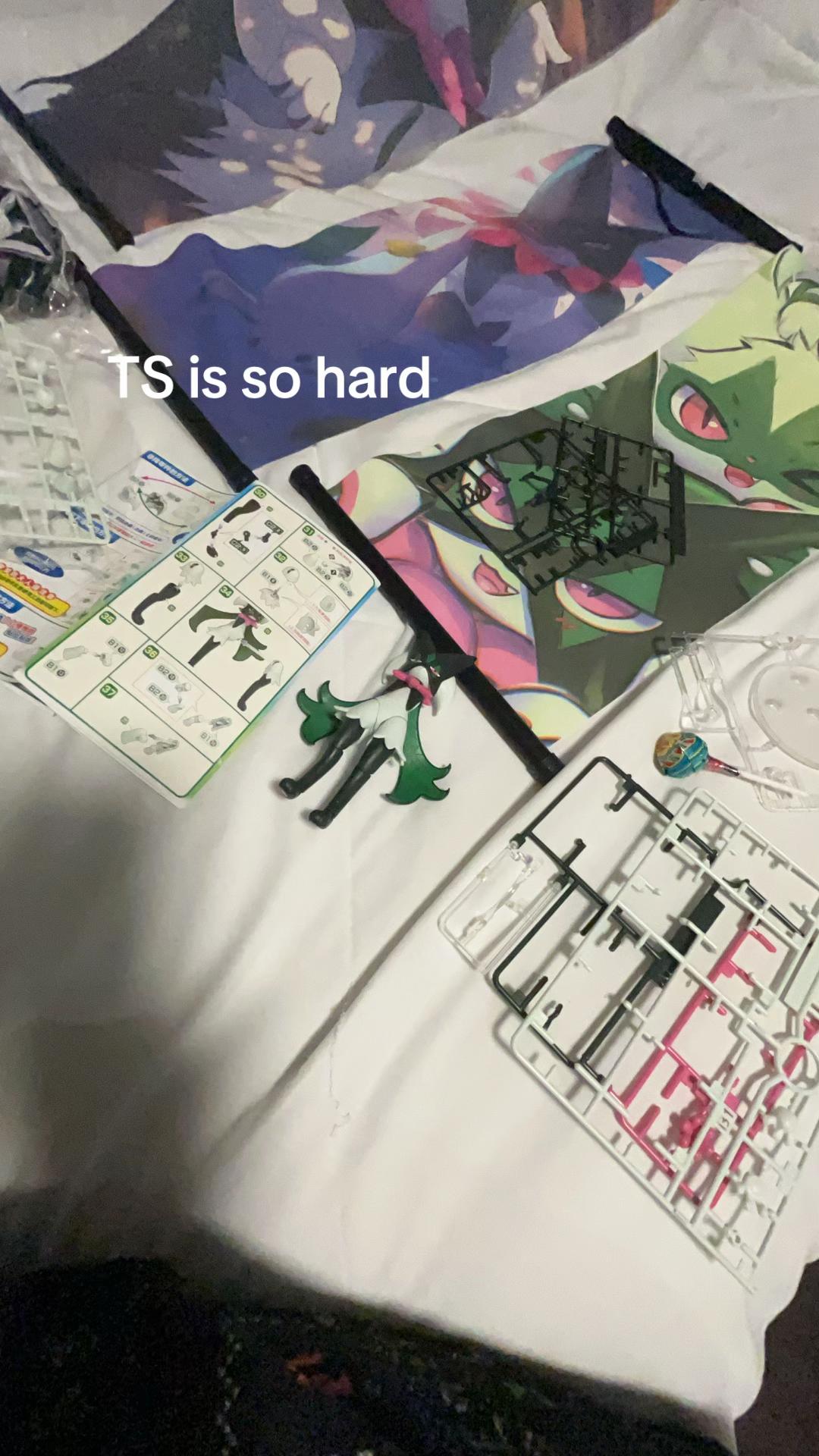 @True meowscarada fan 14