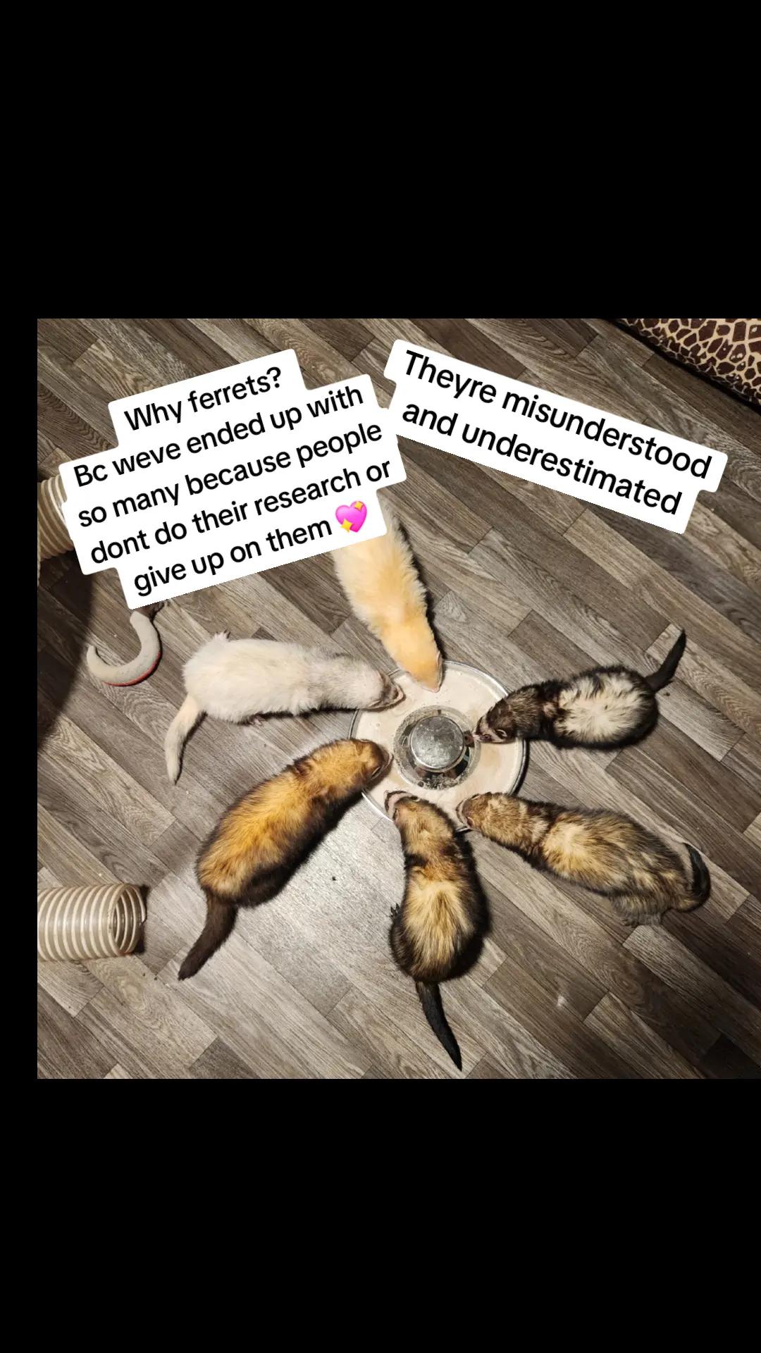 @Mercedese