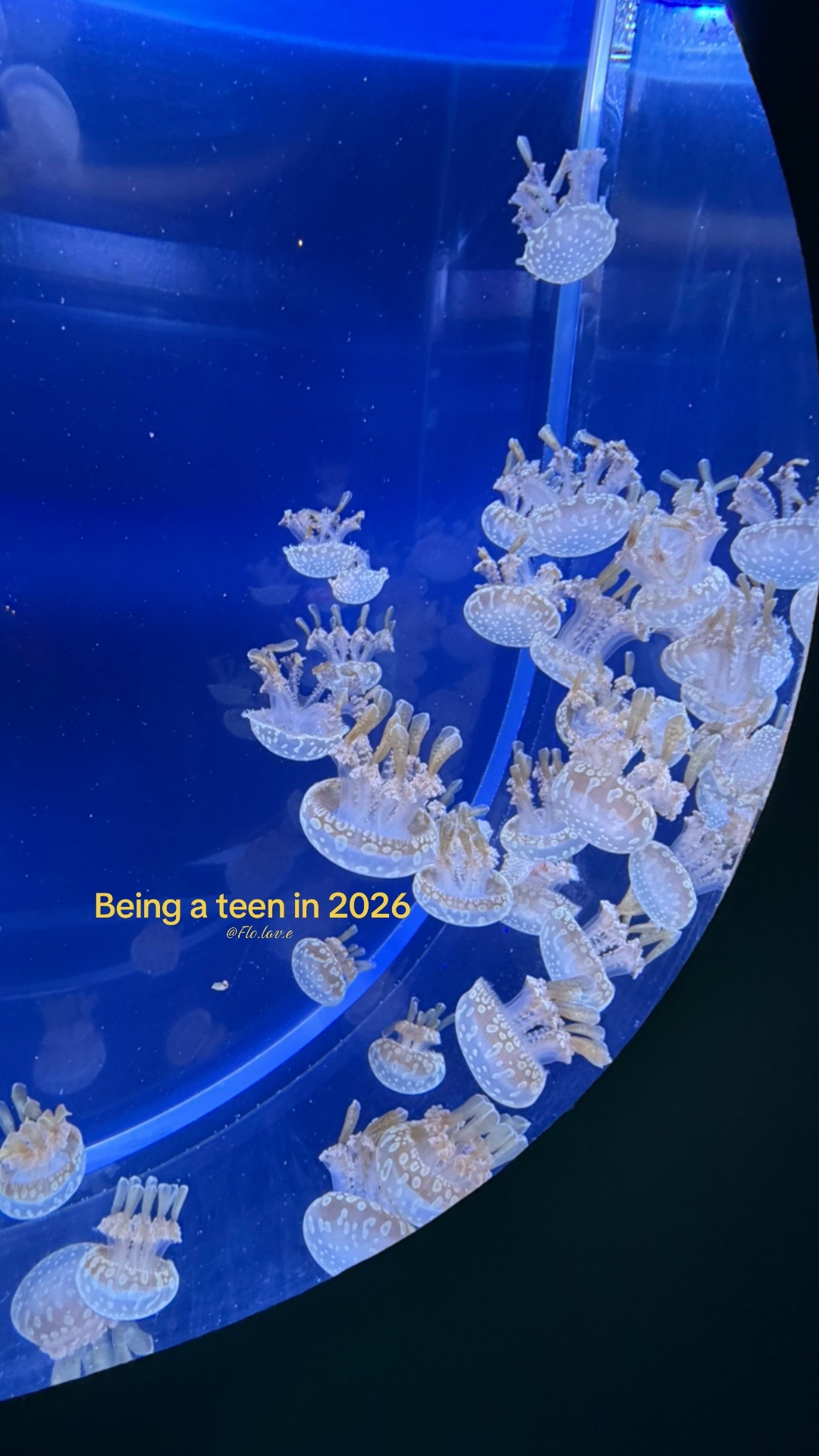 @𝓑⋆˚⧗