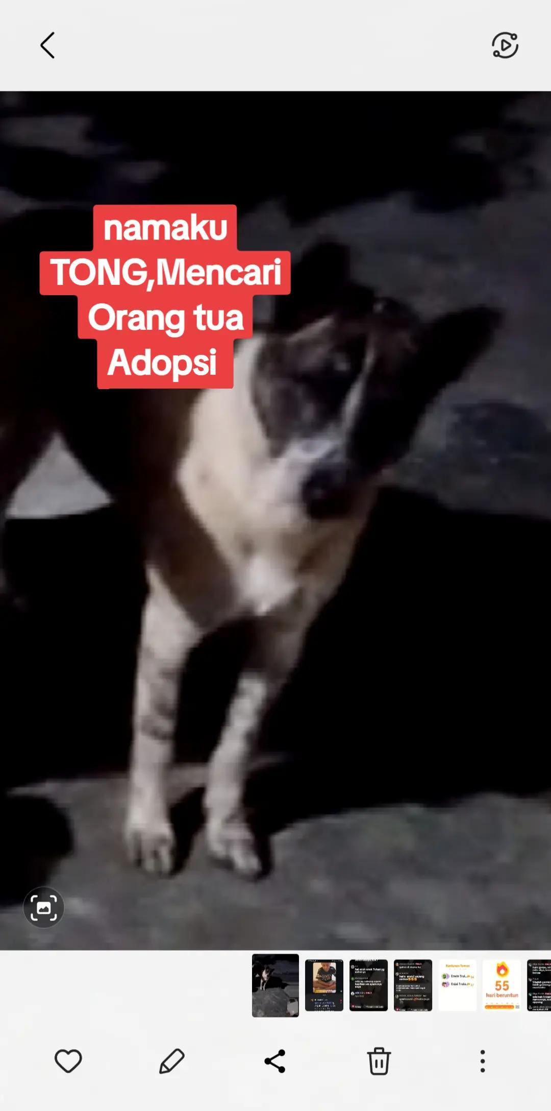 @KOKA_KOLA_FAMILY