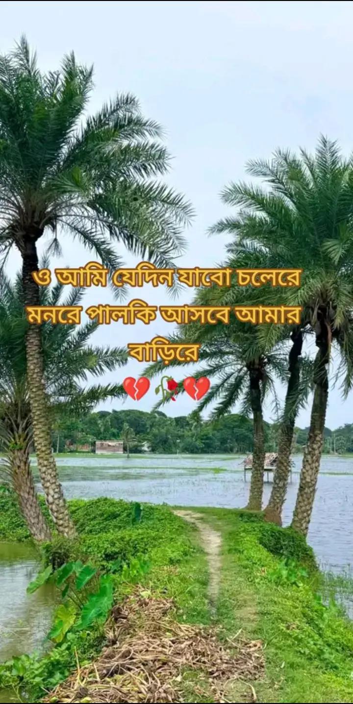 @🌷CUTE GAUL🌷
