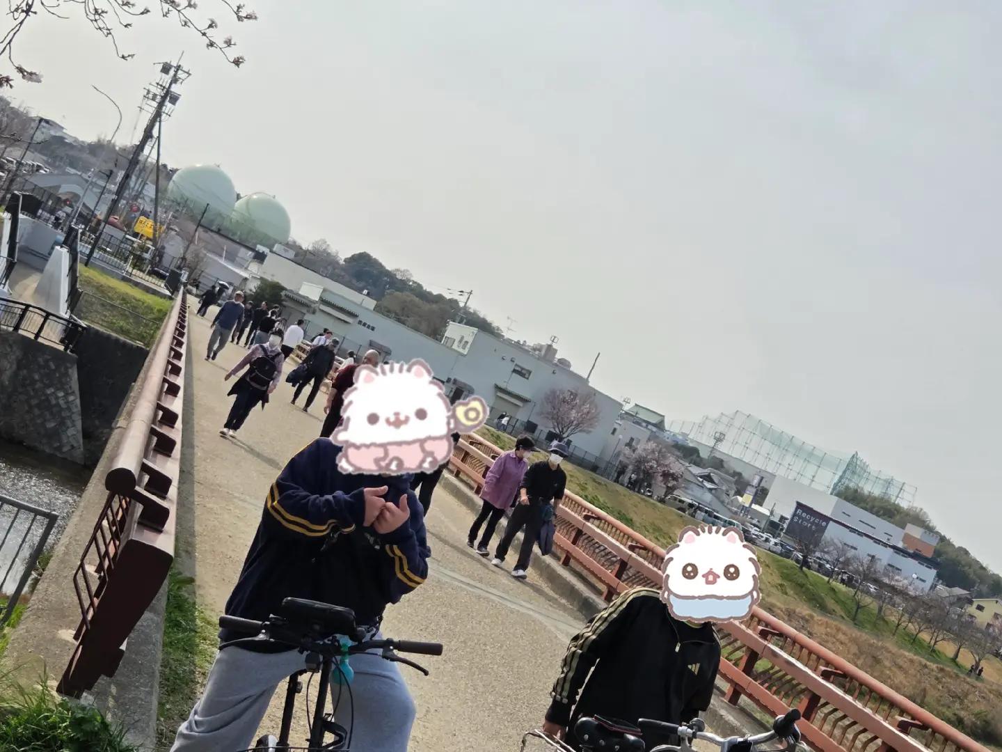 @💰真采🤪