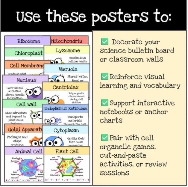 @TeachingBiologyIsFun