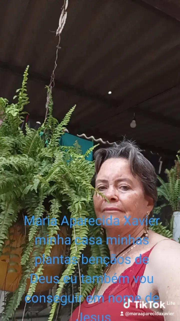@Maria Aparecida X368