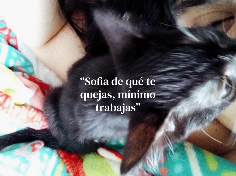 @Sofia Camacho