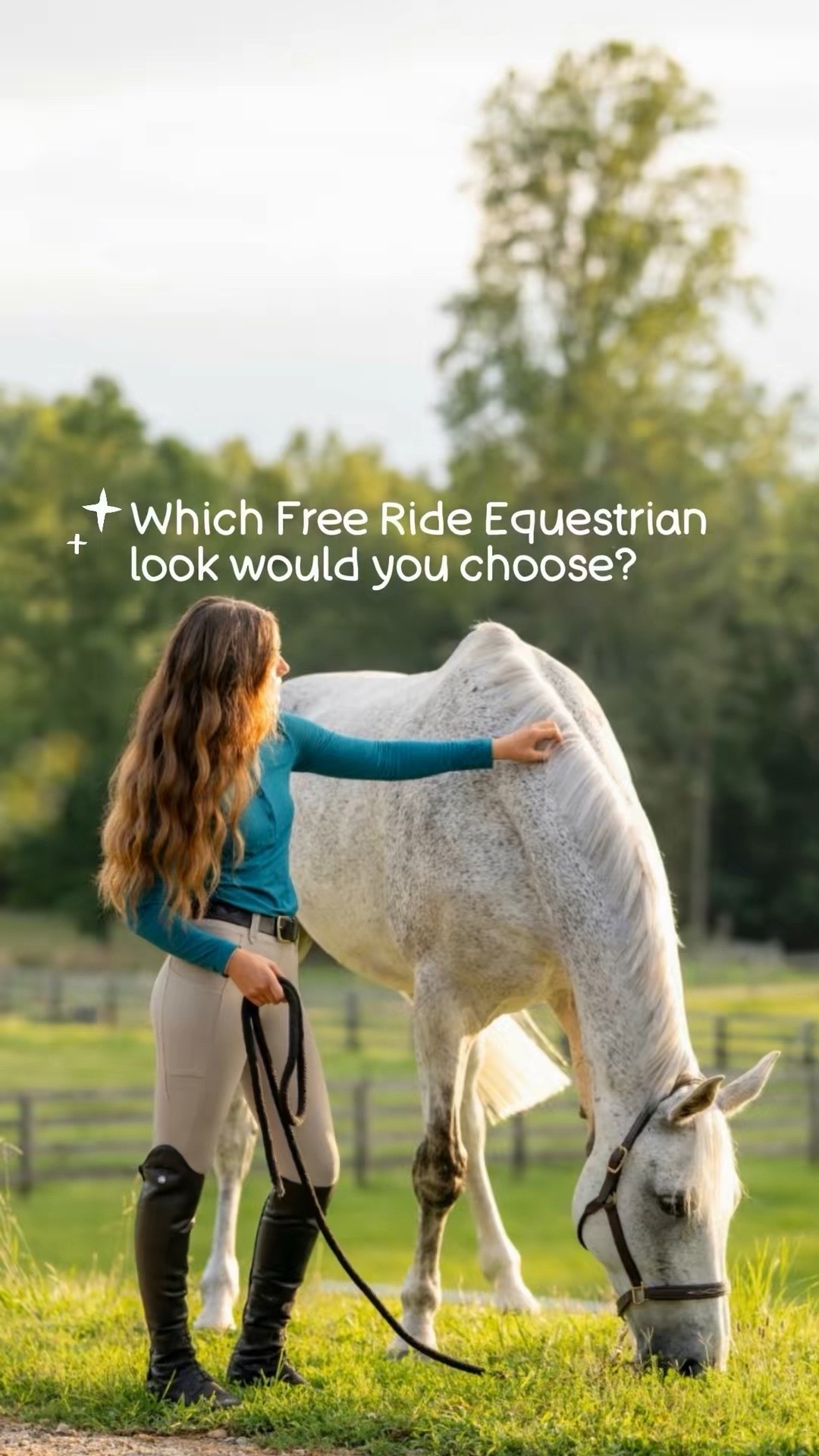 @Free Ride Equestrian