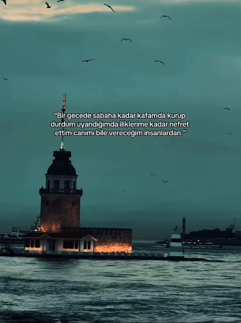 @aykut.4