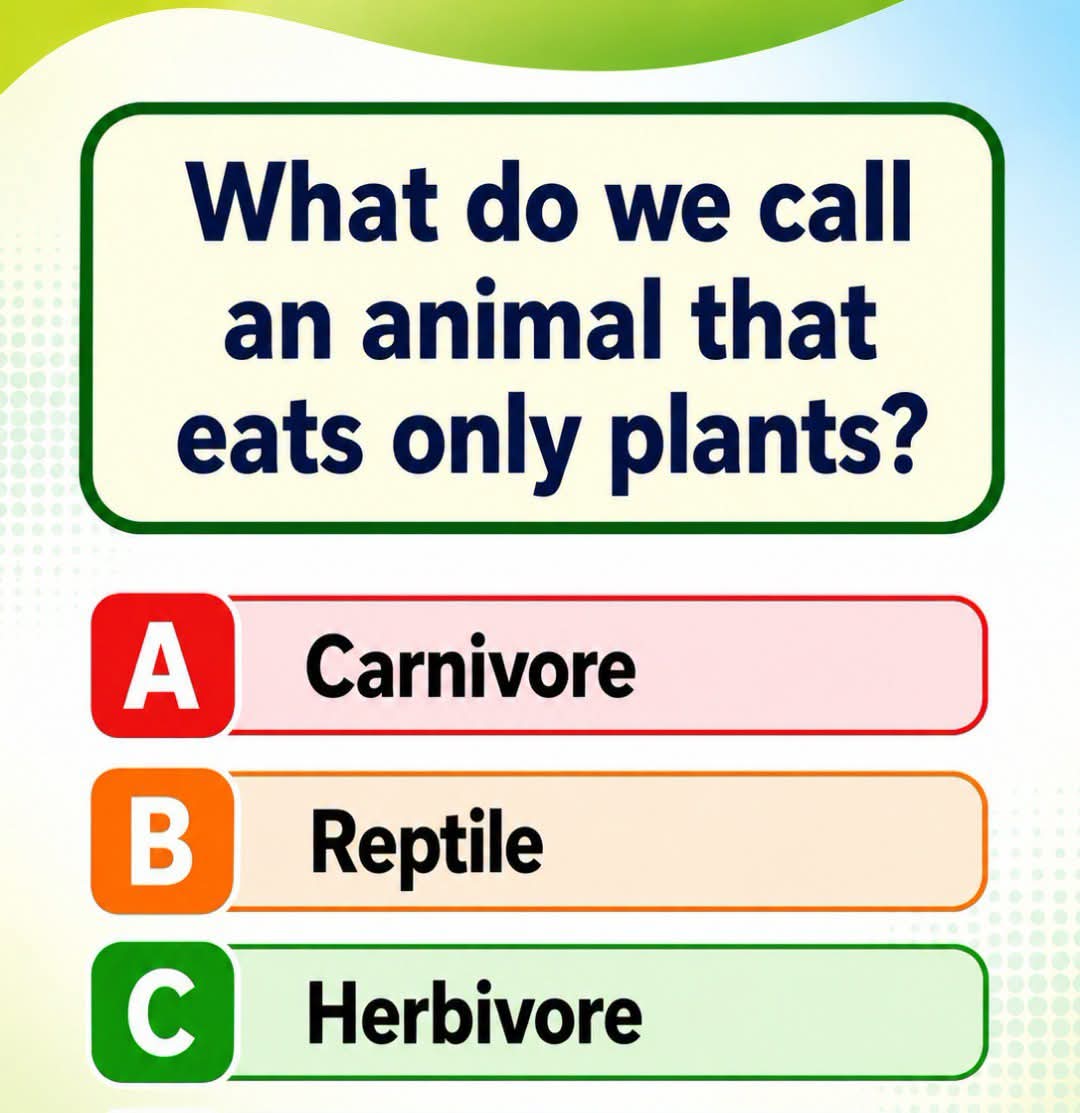 @||Barkhadle learning Hub ||