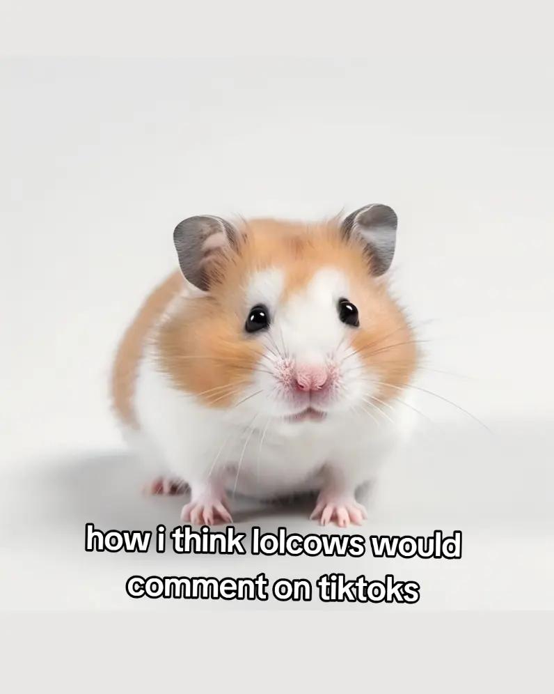 @chris !!! ☆